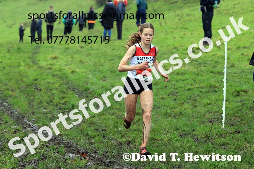 Womens under-17s and under-20s 2023 NECAA Cross Country Relays, Thornley Hall Farm, Peterlee, County Durham. Photo: David T. Hewitson/Sports for All Pics
